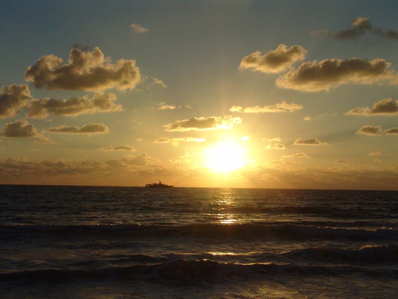DSC02488