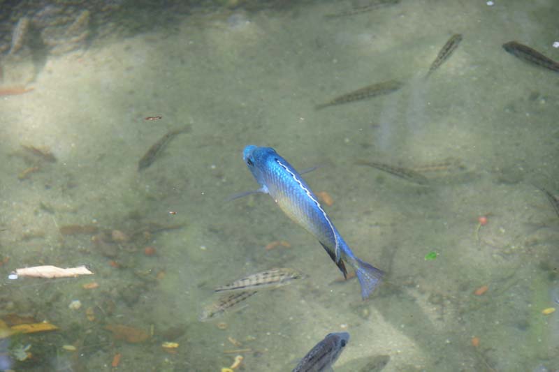 DSC01545