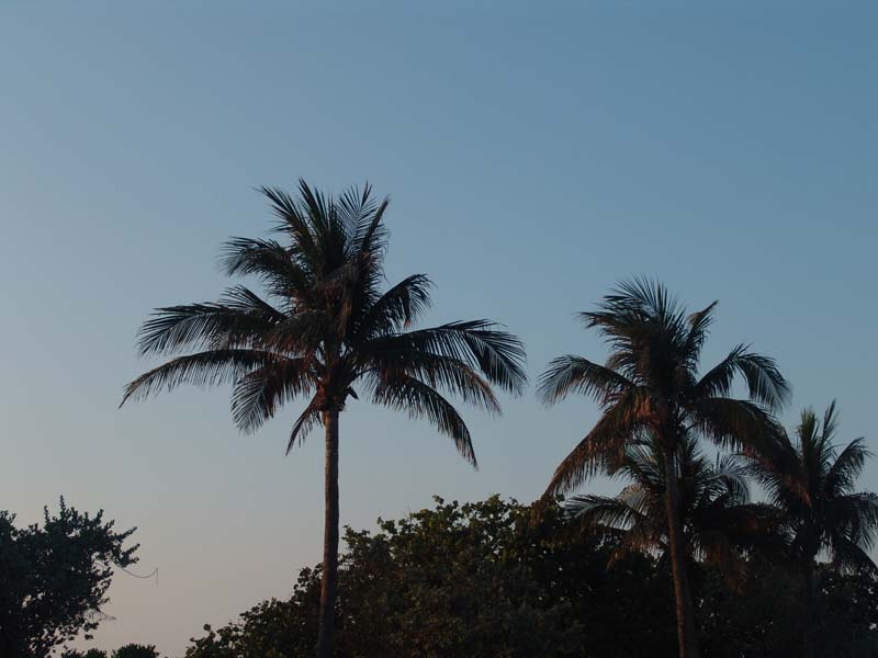 DSC03761