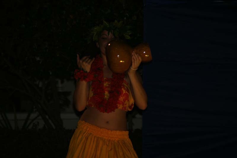 DSC03033
