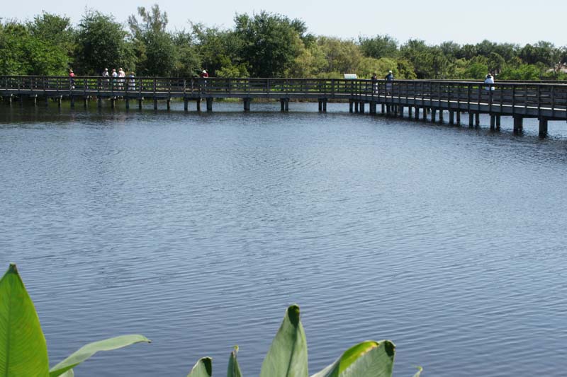 DSC01202