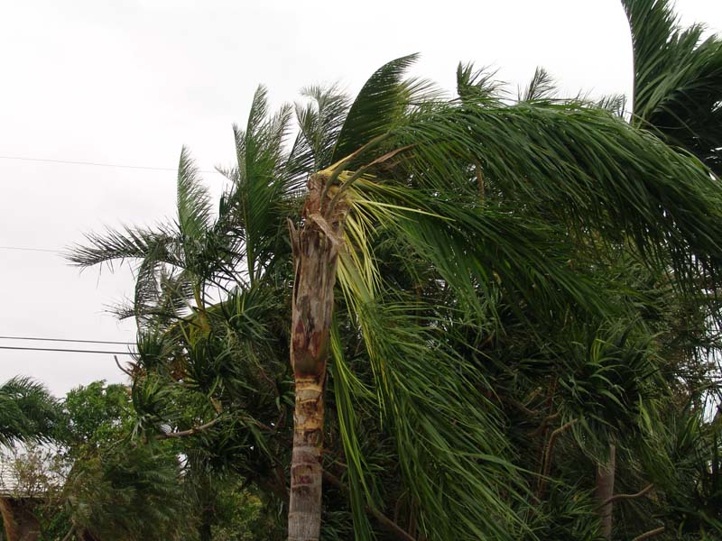 DSC04906