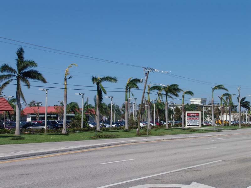 DSC04916