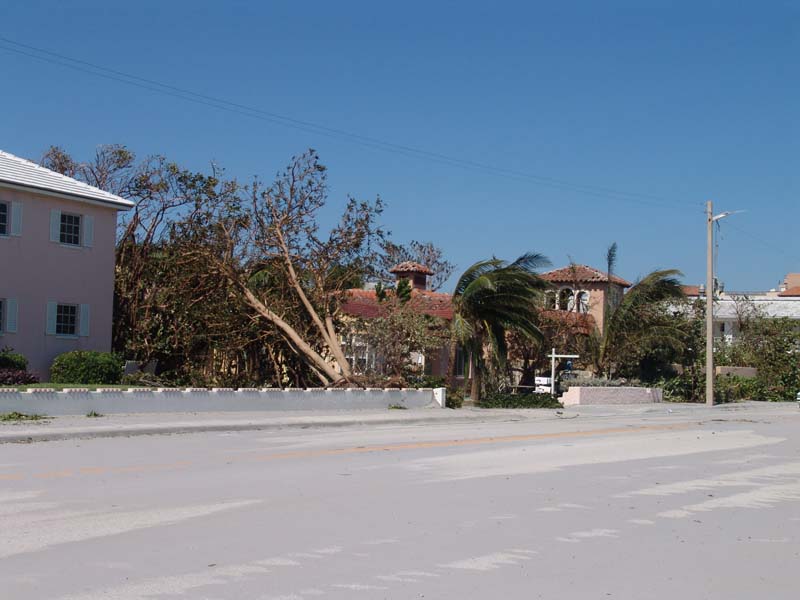 DSC04920