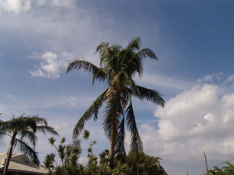 DSC04940
