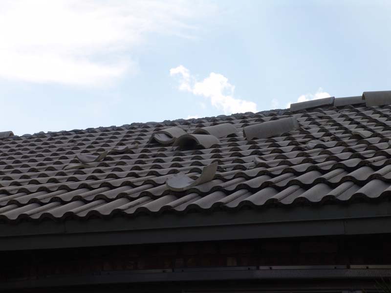 DSC04945