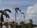 DSC04938