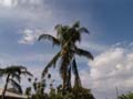 DSC04940