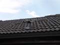 DSC04945