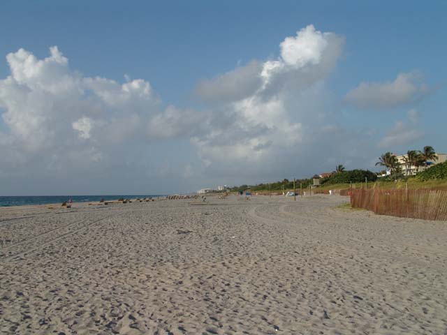 DSC01649