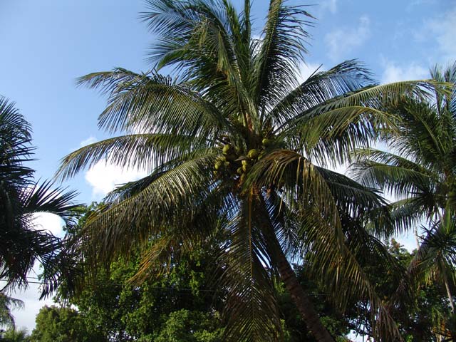 DSC01923