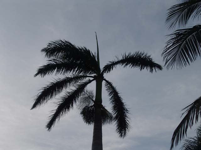 DSC01965