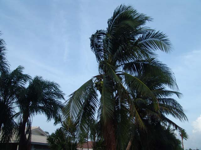 DSC01966