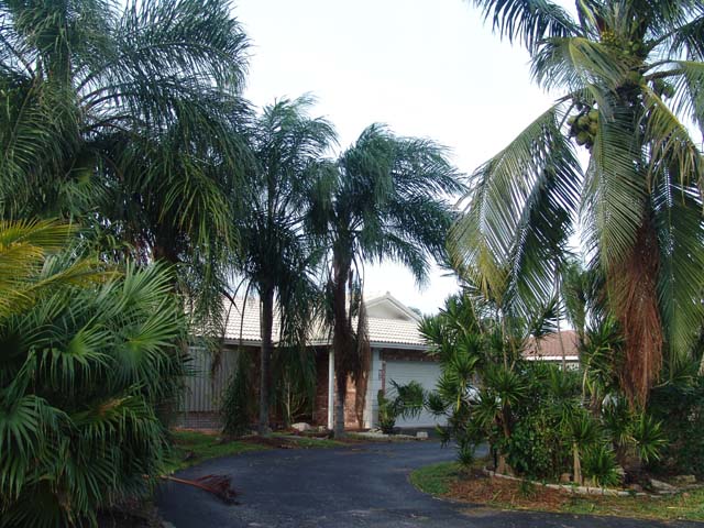 DSC01967