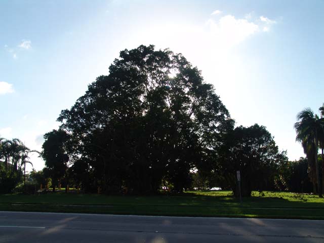 DSC02025
